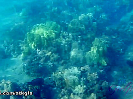 Rosalyn Checks Out The Aquarium, And Does Some Snorkeling - ATKGirlfriends