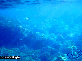 Rosalyn Checks Out The Aquarium, And Does Some Snorkeling - ATKGirlfriends