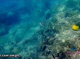 Rosalyn Checks Out The Aquarium, And Does Some Snorkeling - ATKGirlfriends