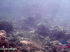 Rosalyn Checks Out The Aquarium, And Does Some Snorkeling - ATKGirlfriends