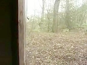 Sexy czech college girl bernadetta fuck in cabin