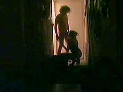 Shadow Play