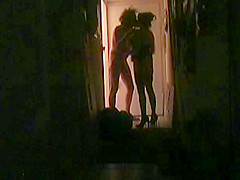 Shadow Play