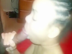 Swallow It Up