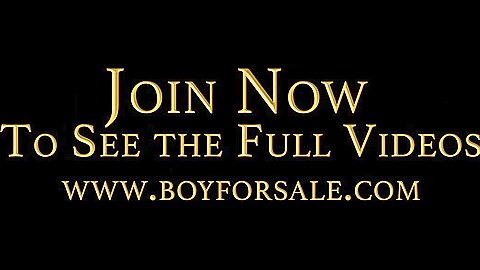 THE BOY NOAH Chapter 2 - The Auction