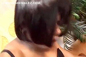 Taste Of Shemale Cock Vol 1
