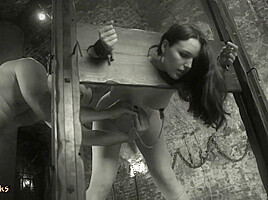 The Pillory - Video