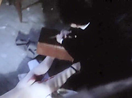 The Strange Case of Dr Jekyll and Miss Osbourne (1981) Marina Pierro, Magali Noaro