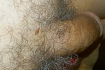 Tonymarchetti cumming