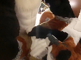 Two Gay Furries Fucking 3
