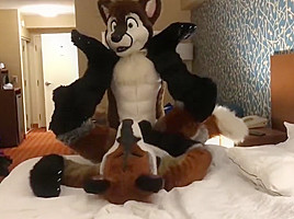 Two Gay Furries Fucking 3