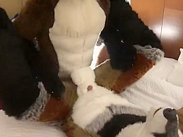 Two Gay Furries Fucking 3
