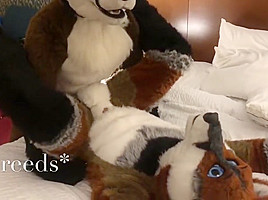 Two Gay Furries Fucking 3