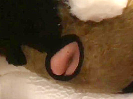 Two Gay Furries Fucking 3