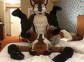 Two Gay Furries Fucking 3