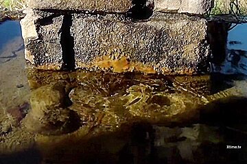 Una Goduta Indimenticabile Per Cristal Jolie