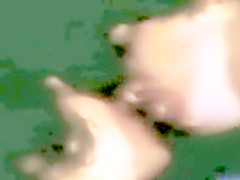 VINTAGE ANAL PREVIEWS 2