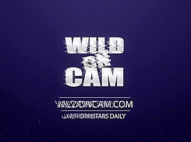 WildOnCam - Paisley Porter
