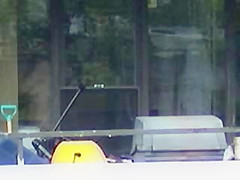 Window peeping 5