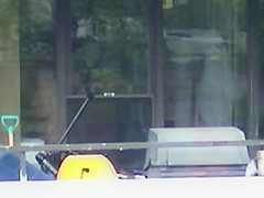 Window peeping 5