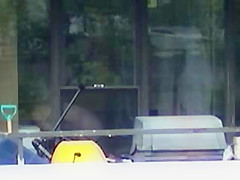 Window peeping 5