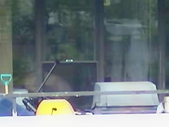 Window peeping 5
