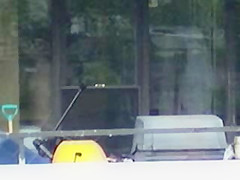 Window peeping 5