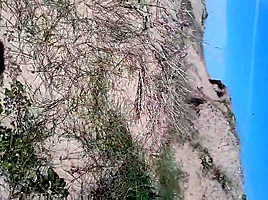 exhibe dans les dunes