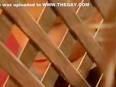 gloryhole confessional