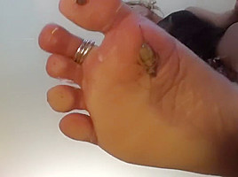 marissa crush cricket