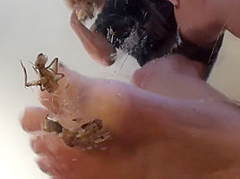 marissa crush cricket