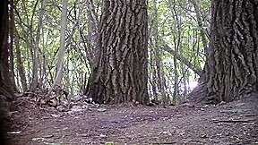 pissing 154