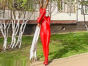 red zentai