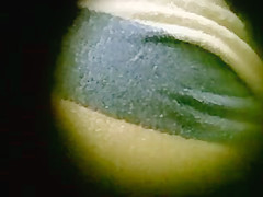 shower real voy26 tattoo